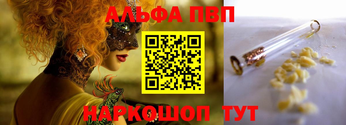 A PVP СК КРИС Оренбург